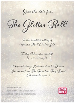 A-T Ball Flyer The Glitter Ball